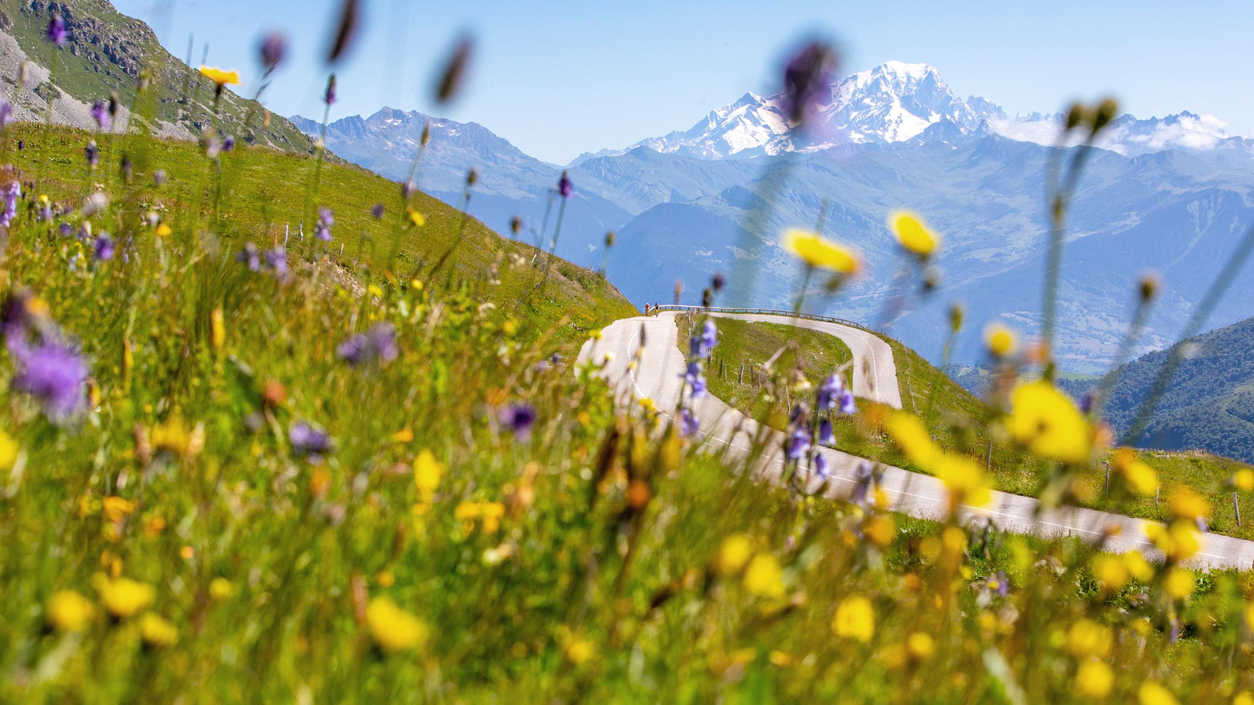 Deux personnes sont en train de gravir un col en vélo de route près de Valmorel 