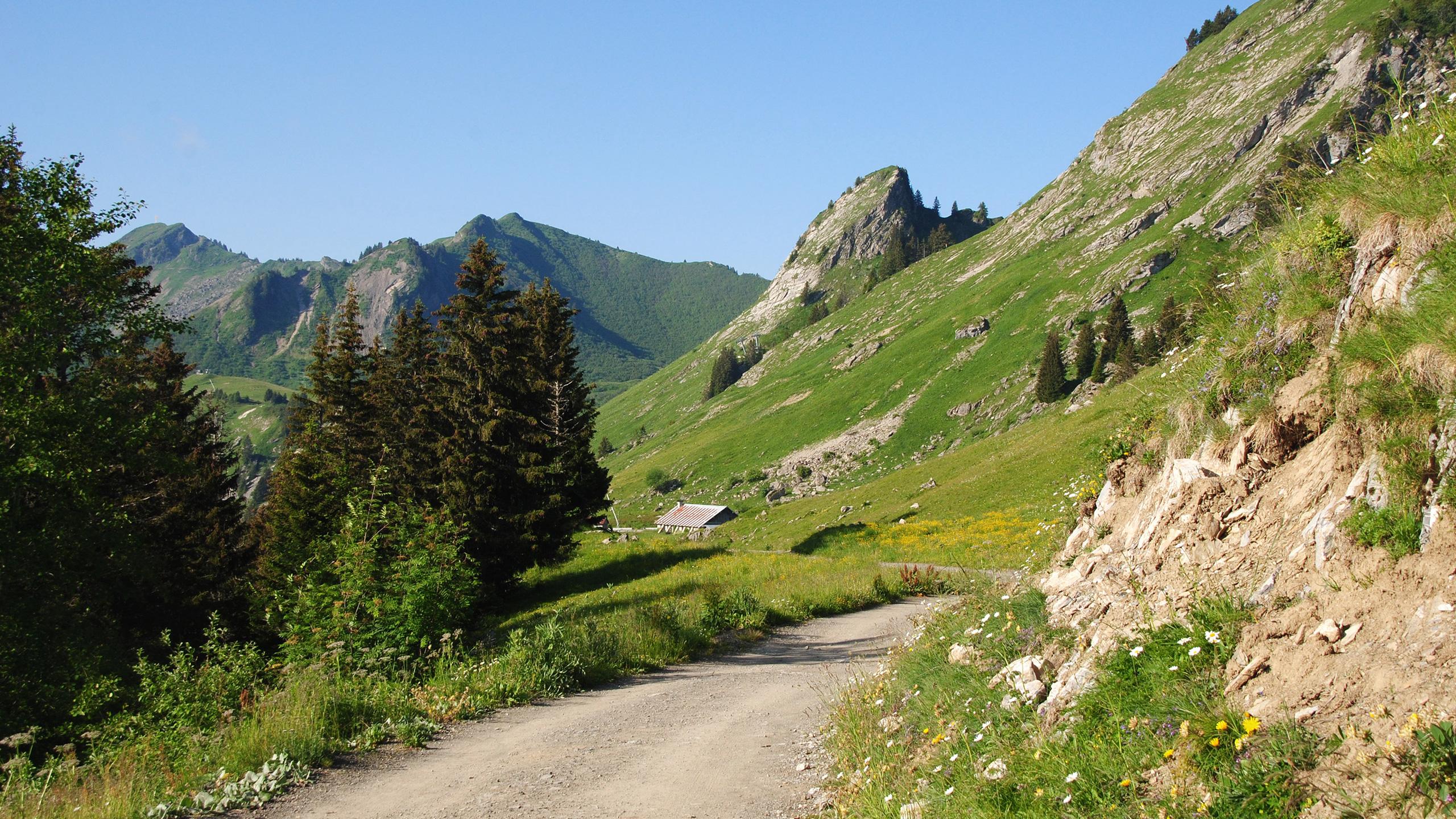 chemin de montagne dans le Chablais