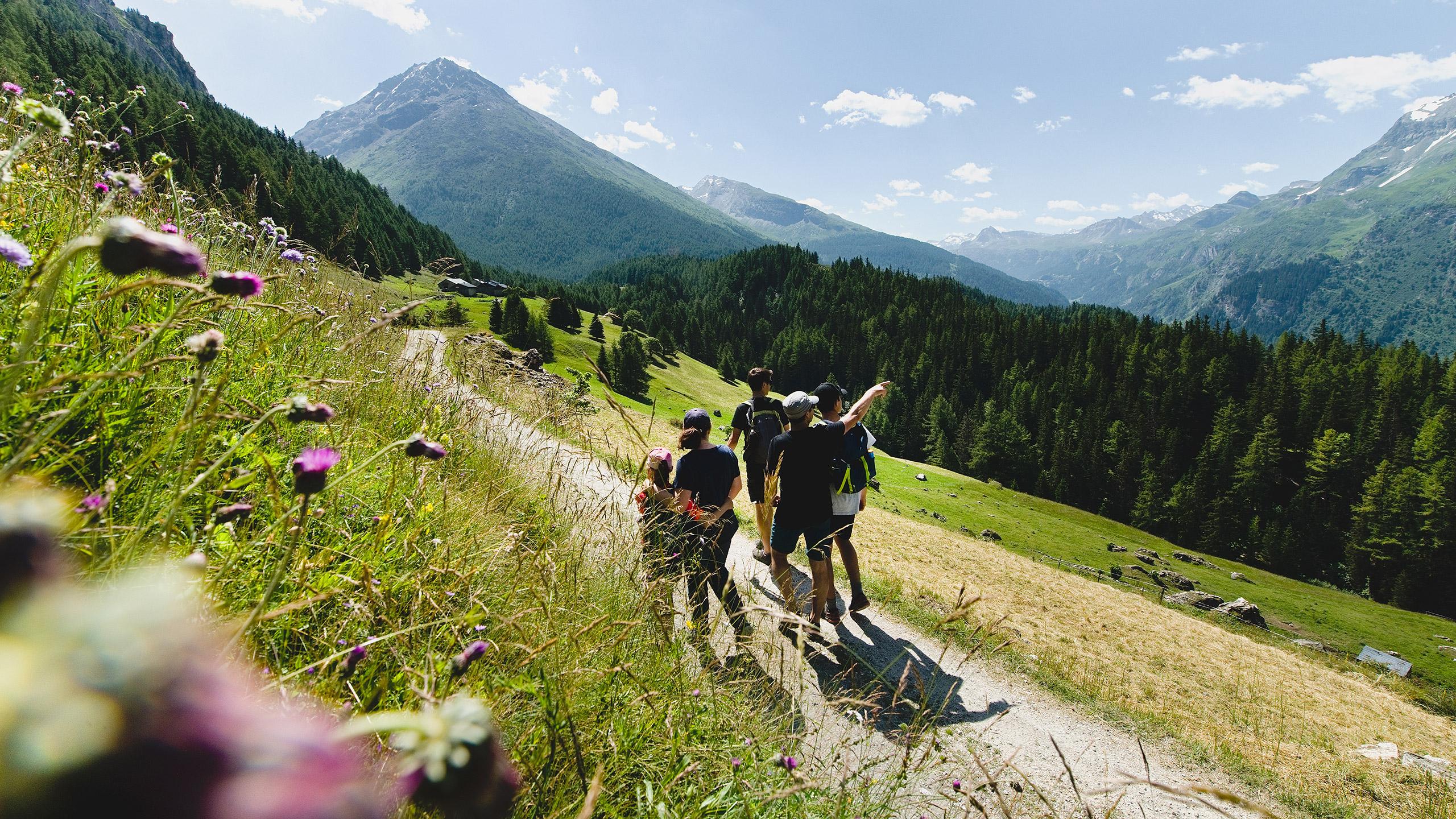 Sainte-Foy-Tarentaise - Été - Randonnée