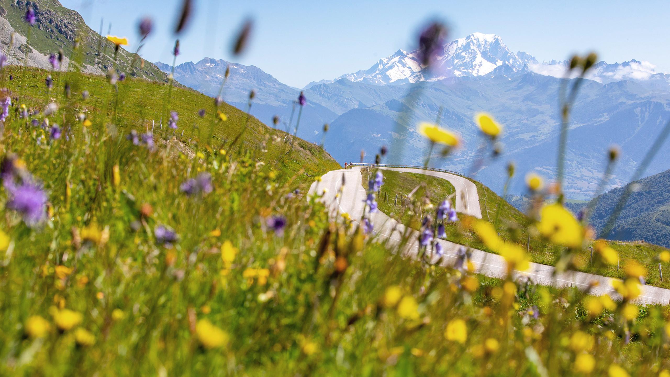 Deux personnes sont en train de gravir un col en vélo de route près de Valmorel 