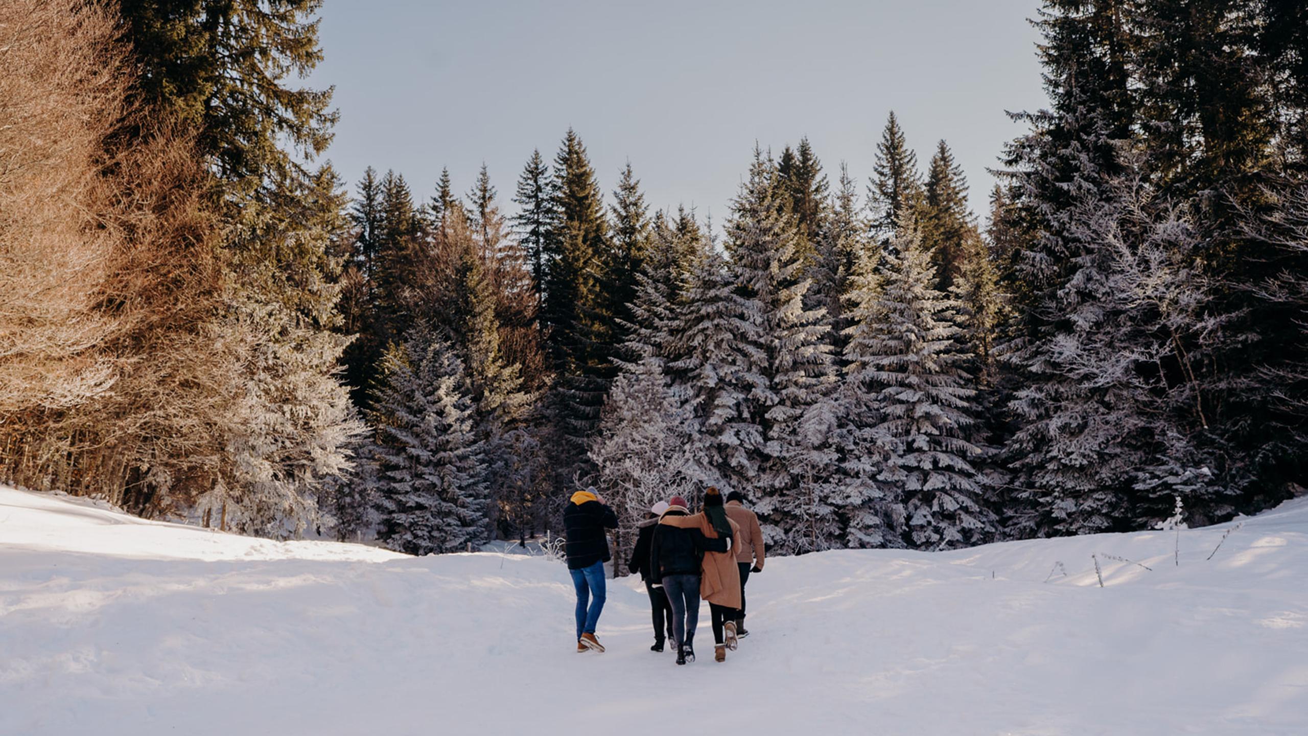 Aix-les-Bains - Hiver - Balade entre amis dans la neige