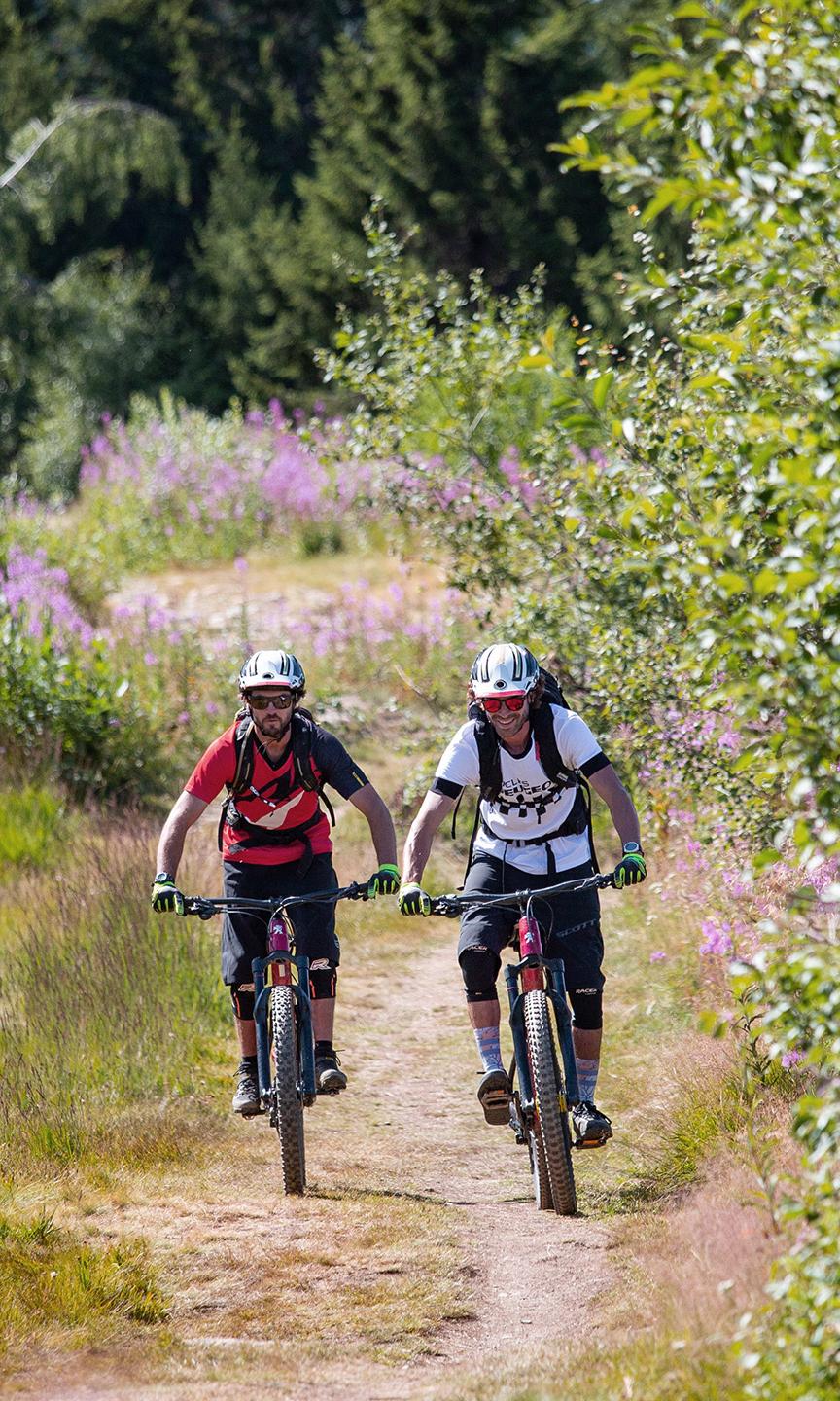 Les Saisies - Été - VTT