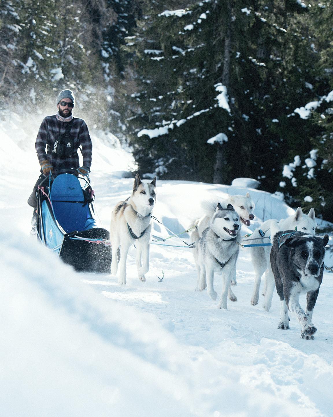 Balade en chiens de traineaux au Domaine de Sainte-Foy Tarentaise