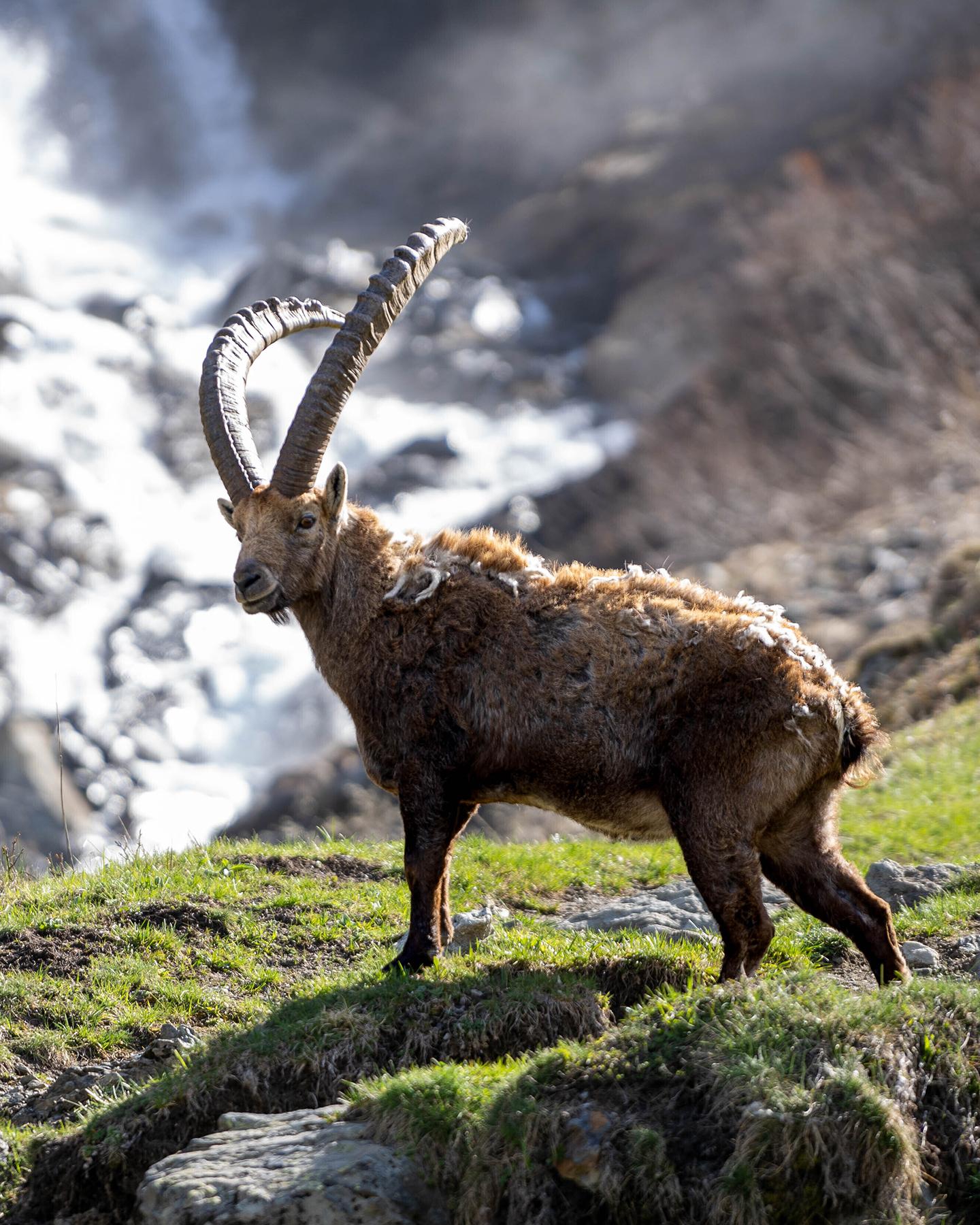 Destination Champagny-en-Vanoise - Parc de la Vanoise