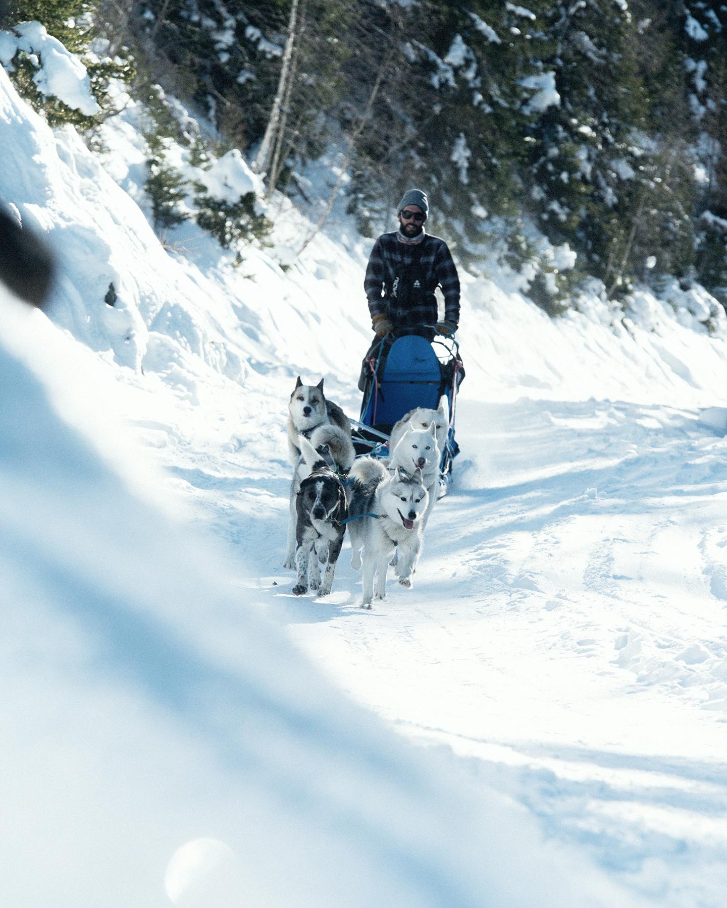 Sainte-Foy-Tarentaise - Balade en chiens de traineaux