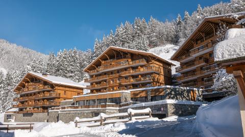 Chalets de Joy - Le Grand-Bornand - Hiver - Extérieur